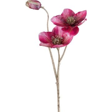 Kunstblumen Zweig Christrose GRIMFAL, magenta, 55cm