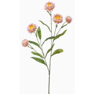 Kunstzweig Strohblume SNAVIK, rosa, 70cm Kunstzweig Strohblume SNAVIK, rosa, 70cm
