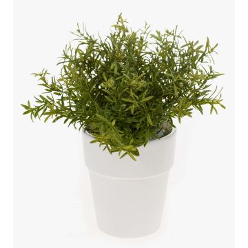 Künstliche Kräuter Rosmarin JOSHUA im Keramiktopf, grün, 23cm, Ø17cm Künstliche Kräuter Rosmarin JOSHUA im Keramiktopf, grün, 23cm, Ø17cm