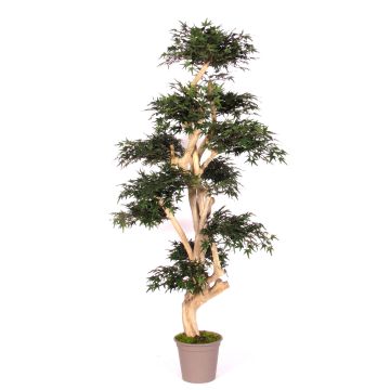Kunstbaum Japanischer Ahorn SLAWIK, Echtstamm, grün, 185cm - Made in Italy