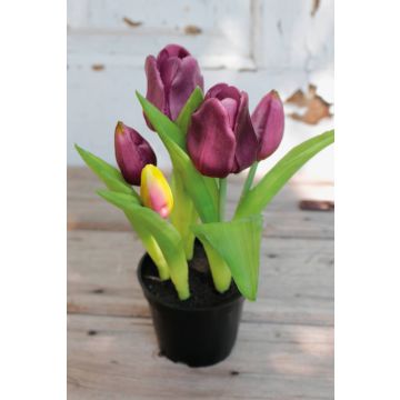 Künstliche Tulpe CAITLYN im Dekotopf, violett-grün, 25cm, Ø2-6cm