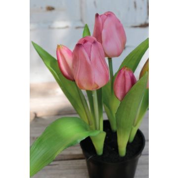 Künstliche Tulpe CAITLYN im Dekotopf, lila-grün, 25cm, Ø2-6cm