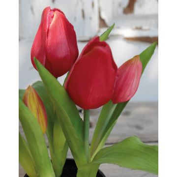 Künstliche Tulpe CAITLYN im Dekotopf, pink-grün, 25cm, Ø2-6cm