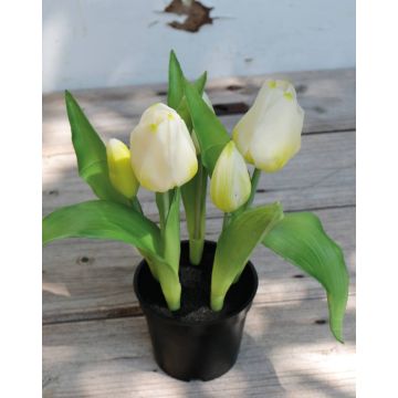 Künstliche Tulpe CAITLYN im Dekotopf, weiß-grün, 25cm, Ø2-6cm