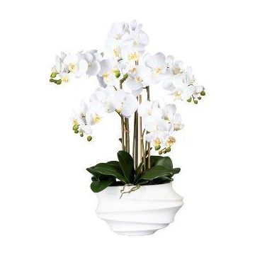 Textil Phalaenopsis Orchidee ZALBROK, Dekovase weiß, Wurzeln, weiß, 75cm