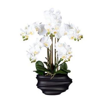 Textil Phalaenopsis Orchidee ZALBROK, Dekovase schwarz, Wurzeln, weiß, 75cm