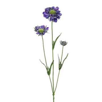 Kunstzweig Scabiosa ATLENTO, lila, 65cm Kunstzweig Scabiosa ATLENTO, lila, 65cm