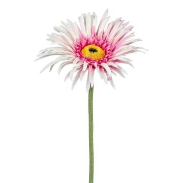Künstliche Blume Gerbera FELISY, rosa-weiß, 65cm