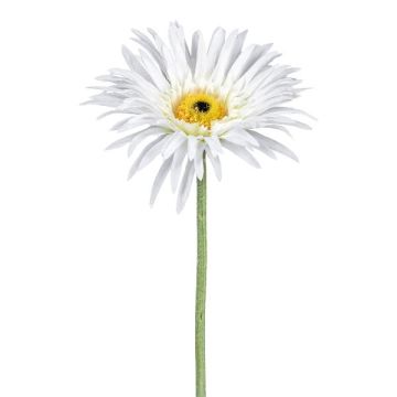 Künstliche Blume Gerbera FELISY, weiß, 65cm Künstliche Blume Gerbera FELISY, weiß, 65cm