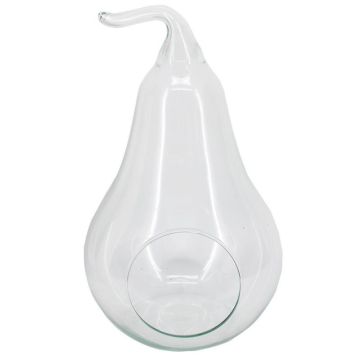 Terrarium Glas YVIE in Birnenform, klar, 31cm, Ø19cm Terrarium Glas YVIE in Birnenform, klar, 31cm, Ø19cm