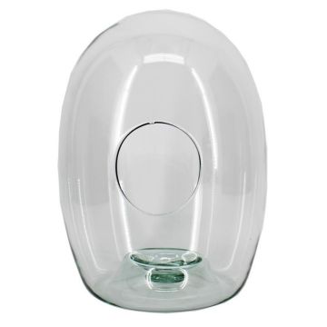 Glas Terrarium LYNASH, transparent, 30cm, Ø23cm Glas Terrarium LYNASH, transparent, 30cm, Ø23cm