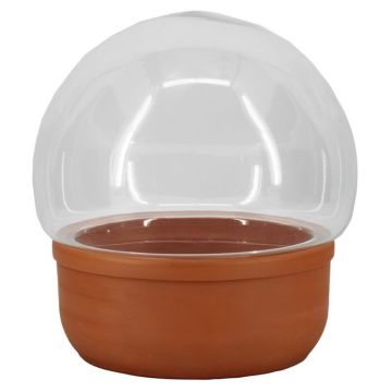 Glas Kugel Terrarium LUMIAN, Terrakottaschale, klar, 23,5cm, Ø25cm Glas Kugel Terrarium LUMIAN, Terrakottaschale, klar, 23,5cm, Ø25cm