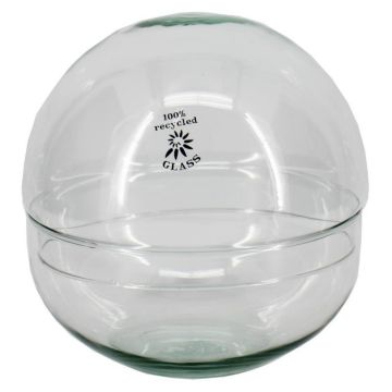 Kugel Terrarium BRYSON aus Glas, recycelt, klar, 19,5cm, Ø19,6cm Kugel Terrarium BRYSON aus Glas, recycelt, klar, 19,5cm, Ø19,6cm