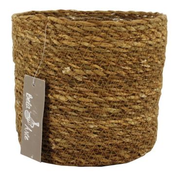 Seegras Korb AMPARO, beige, 14cm, Ø16,5cm