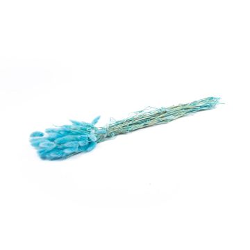 Trockengras BORKA, Bund Lagurus, türkis, 55-75cm, Ø12cm