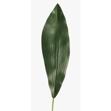 Dekoblatt Schusterpalme PAISA, 75cm