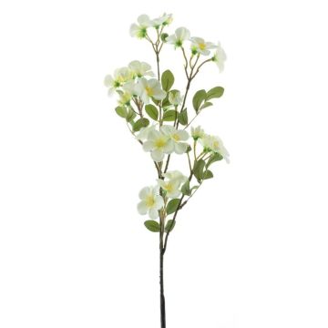 Dekoblume Apfelblütenzweig WENIA, creme, 70cm, Ø2-4cm