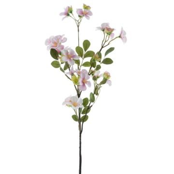 Dekoblume Apfelblütenzweig WENIA, rosa-weiß, 70cm, Ø2-4cm