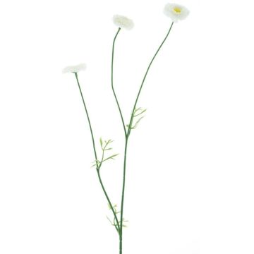 Textilblumen Zweig Bellis NIKSA, creme, 55cm