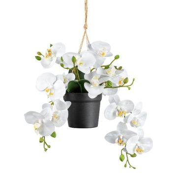 Deko Phalaenopsis Orchideen Blumenampel LARSAY, Dekotopf, weiß, 25cm