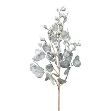 Deko Zweig Eukalyptus GRIFLO mit Früchten, gefroren, weiß-grau, 55cm Deko Zweig Eukalyptus GRIFLO mit Früchten, gefroren, weiß-grau, 55cm