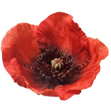 Mohnblume künstlich FASDIN, rot, 75cm