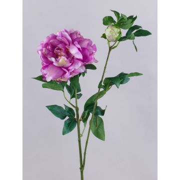 Deko Zweig Pfingstrose ZEXLIN, lila-rosa, 70cm Deko Zweig Pfingstrose ZEXLIN, lila-rosa, 70cm
