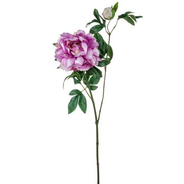 Deko Zweig Pfingstrose ZEXLIN, lila-rosa, 70cm