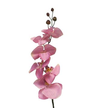 Kunstzweig Phalaenopsis Orchidee LANUA, rosa, 70cm, Ø8,5-12cm