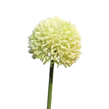 Kunstblume Allium BAILIN, creme-grün, 45cm, Ø6,5cm