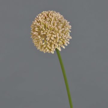Kunstblume Allium BAILIN, rosa-creme, 45cm, Ø6,5cm