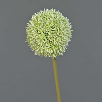 Kunstblume Allium BAILIN, creme-grün, 65cm, Ø10cm