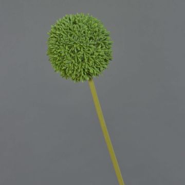 Kunstblume Allium BAILIN, grün, 65cm, Ø10cm