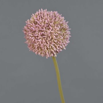 Kunstblume Allium BAILIN, rosa-grün, 65cm, Ø10cm