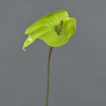 Kunstblume Anthurium FEIWU, hellgrün, 65cm, 10x14cm