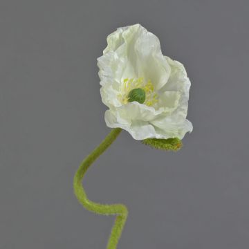 Dekoblume Mohnblume ANKANG, creme, 70cm, Ø9,5cm
