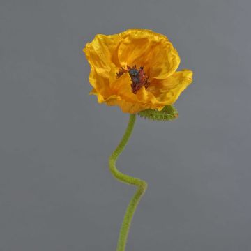 Dekoblume Mohnblume ANKANG, orange-gelb, 70cm, Ø9,5cm