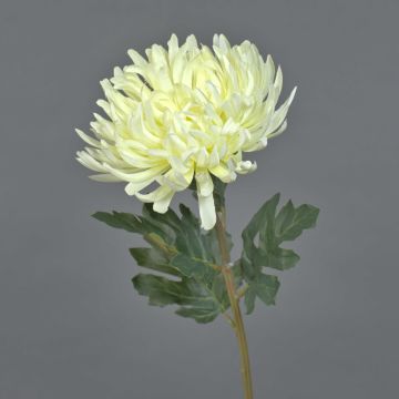 Dekoblume Chrysantheme LINGYUN, creme, 65cm, Ø16cm