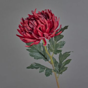 Dekoblume Chrysantheme LINGYUN, dunkelrot, 65cm, Ø16cm