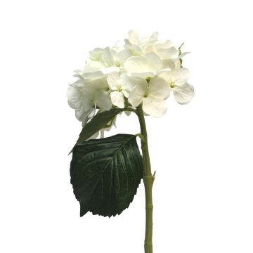Kunstblume Hortensie XINCHENG, weiß, 50cm, Ø15cm
