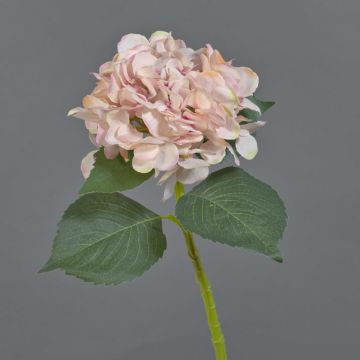Kunstblume Hortensie FUXIANG, rosa-creme, 50cm, Ø16cm