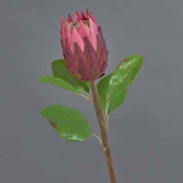 Künstliche Blume Protea AZHEN, violett-rosa, 65cm, Ø9cm