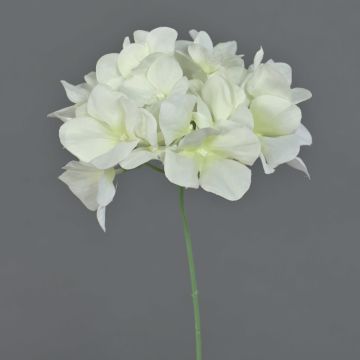 Künstliche Blume Hortensie FUHUA, creme, 23cm, Ø14cm