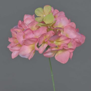Künstliche Blume Hortensie FUHUA, rosa-grün, 23cm, Ø14cm