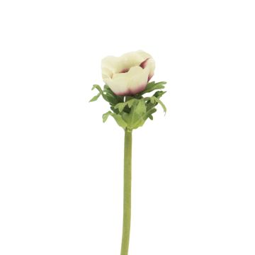 Dekoblume Anemone BOYANG, creme-violett, 35cm, Ø6cm