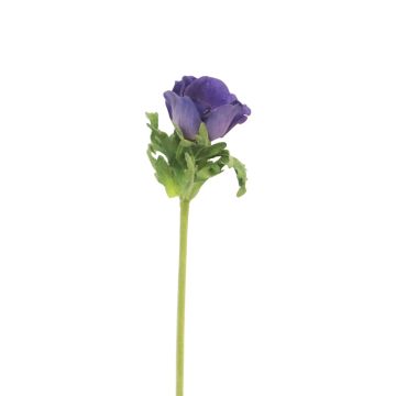 Dekoblume Anemone BOYANG, lila, 35cm, Ø6cm Dekoblume Anemone BOYANG, lila, 35cm, Ø6cm