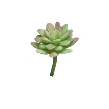 Kunst Sedum rubrotinctum AOLUO auf Steckstab, grün-rot, 16cm Kunst Sedum rubrotinctum AOLUO auf Steckstab, grün-rot, 16cm