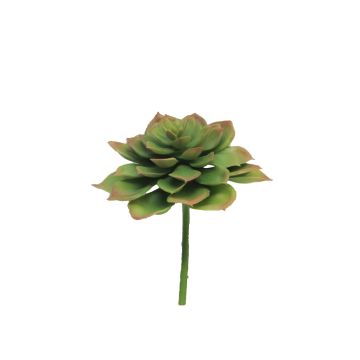 Kunststoffschaum Echeveria morani XINYA auf Steckstab, grün-rot, 17cm