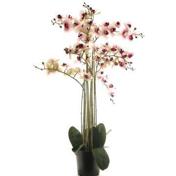 Kunstorchidee Phalaenopsis CHENXU, rosa-creme, 110cm