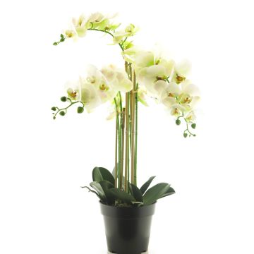 Kunstorchidee Phalaenopsis CHENXU, weiß, 60cm